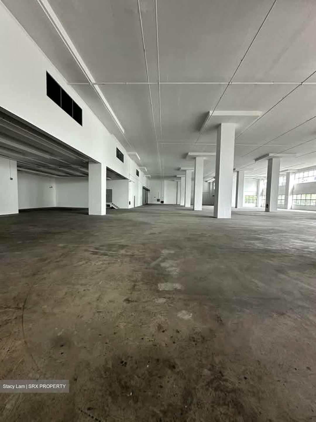 West Park Bizcentral (D22), Factory #585385771